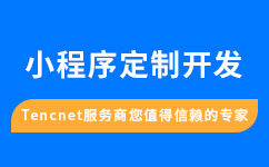 如何判断微信小程序开发公司是否专业 如何判断微信小程序开发公司是否专业