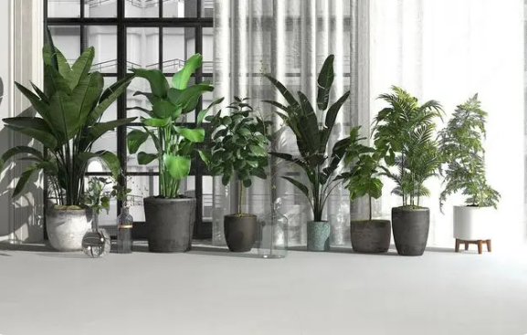 微购儿种植教学小程序开发,推广绿色文化 微购儿种植教学小程序开发,推广绿色文化